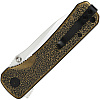 QSP Hawk Black Brass