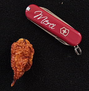 Victorinox Classic SD Red Merci