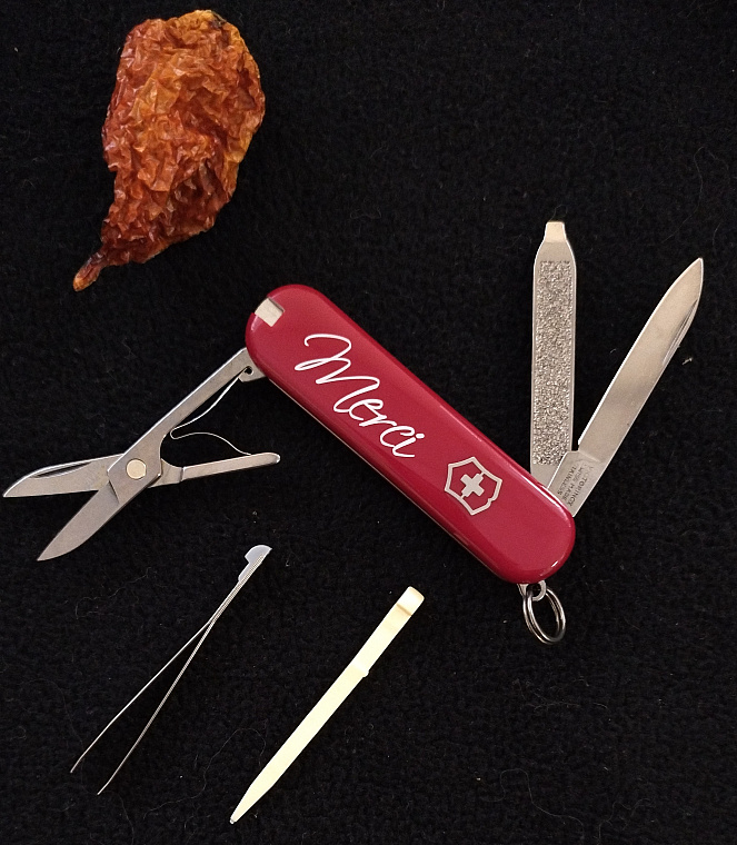 Victorinox Classic SD Red Merci