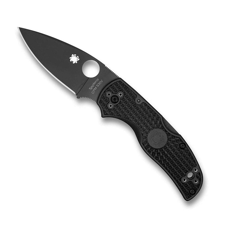 Spyderco Native 5 Black Plain Blade