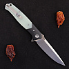 Bestech Knives Swordfish D2 Transparent G10
