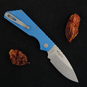 Pro-Tech Strider PT Auto Magnacut Blue