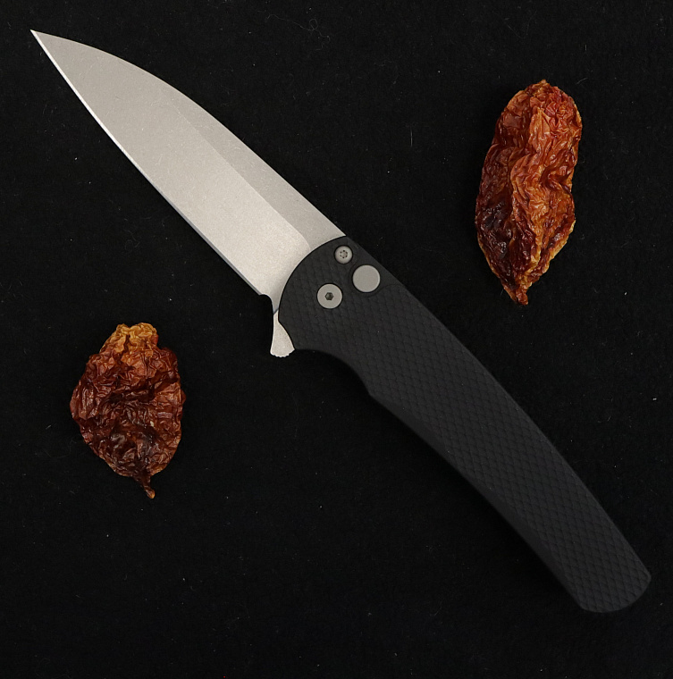 Pro-Tech Malibu Flipper Wharncliffe Magnacut