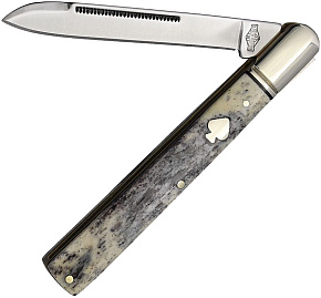 Rough Rider Spades Black Appaloosa Slim