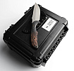 Sangin Knives Corsair No. 24 of 24 pcs