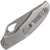 Byrd Knife by Spyderco Cara Cara 2 SS P