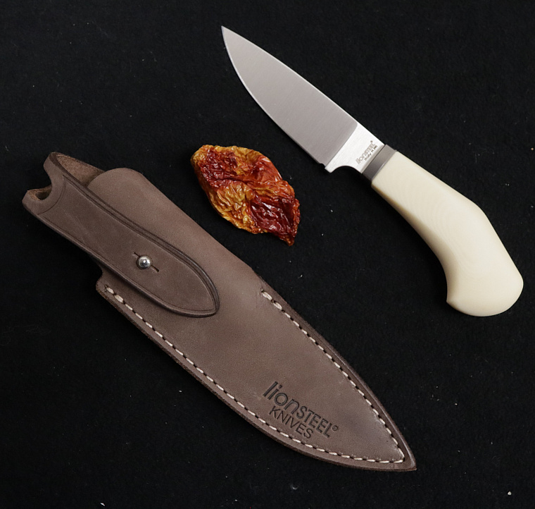 LionSTEEL Willy EDC Knife White Canvas Micarta