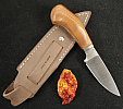 LionSTEEL Willy EDC Knife Santos Wood