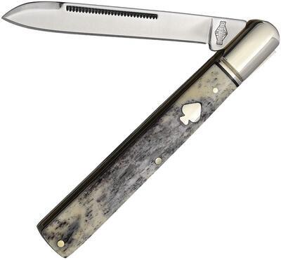 Rough Rider Spades Black Appaloosa Slim - 1