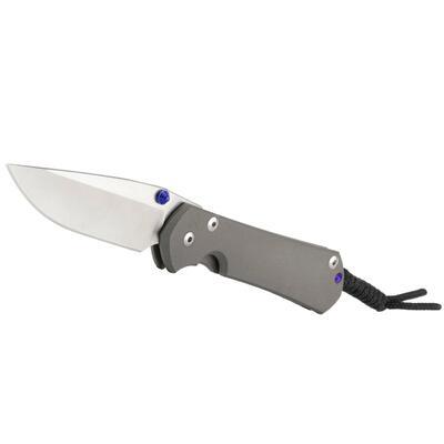 Chris Reeve Sebenza 31 Large Magnacut - 1