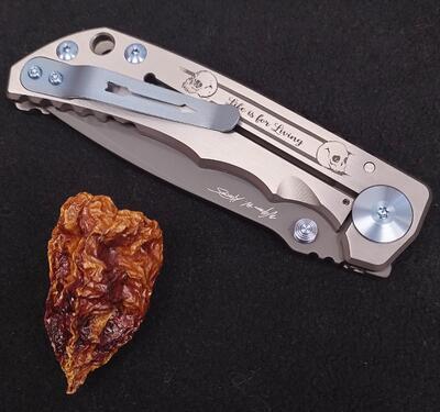 Spartan Blades Spartan Harsey Folder Memento Mori Magnacut - 4